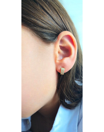 Argolla 3 filas de Cristales