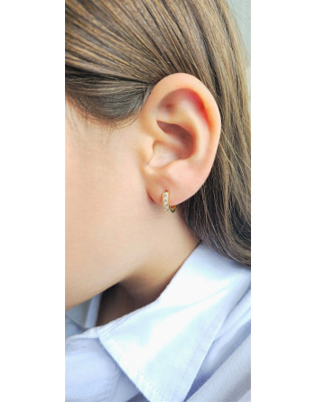 Argolla con Cristales de Zirconio